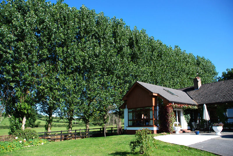 The Bungalow Farmhouse Clomantagh Bagian luar foto